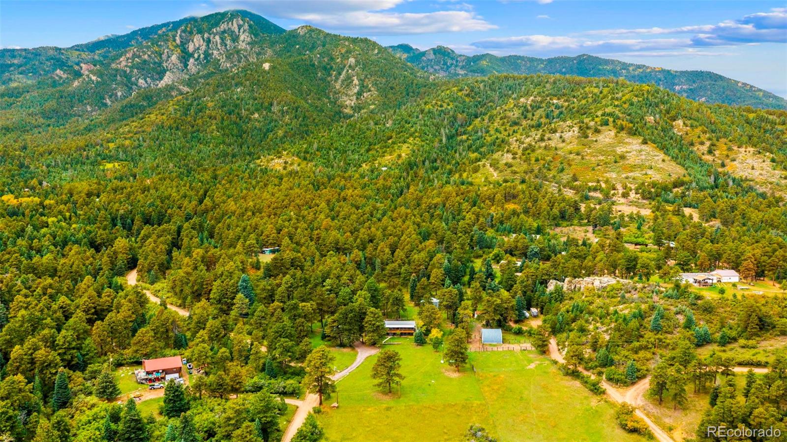 10829 Bartlett Trail Rye, CO 81069 - Photo 40 of 40 a view of a big yard with plants and large trees