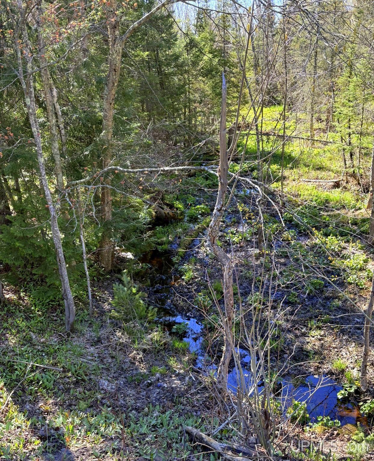 Tbd Tbd Townline Road Skandia, MI 49885 - Photo 36 of 58