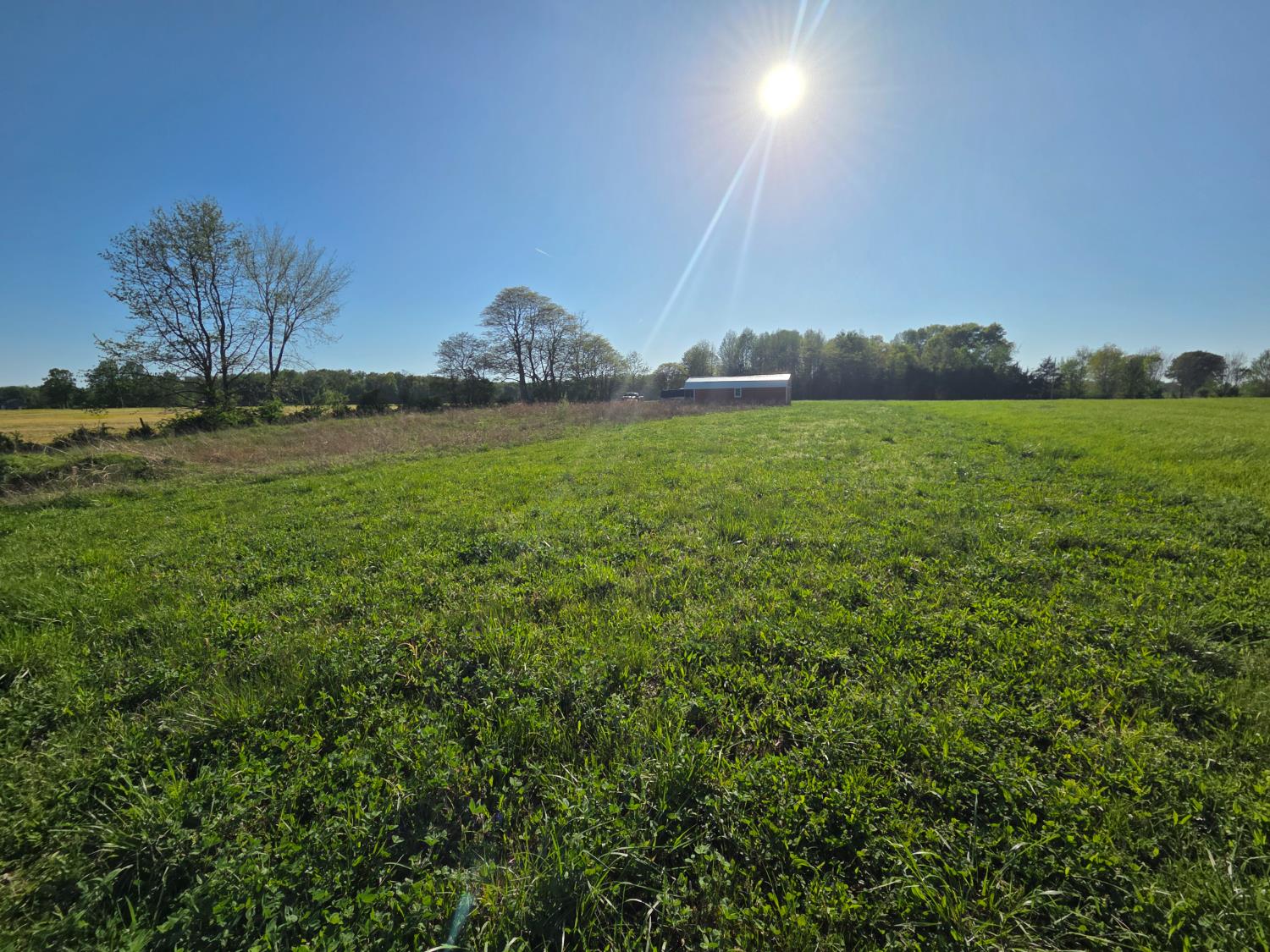 14778 Knigga Xing Road Vevay, IN 47043 - Photo 4 of 8