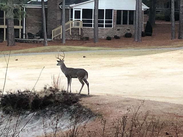 5 West Quail Lake Road Pinehurst, NC 28374 - Photo 24 of 25 Big Buck