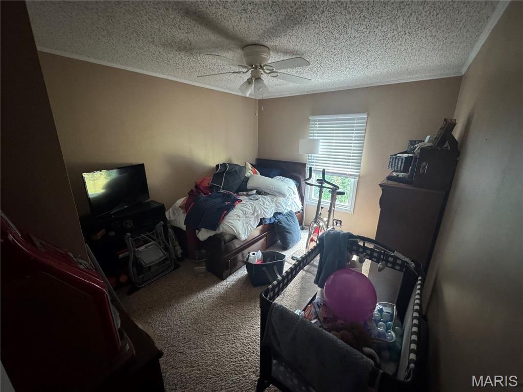 1818 Hunter Road Festus, MO 63028 - Photo 15 of 54