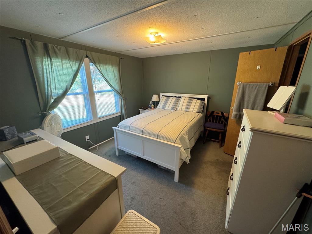 1818 Hunter Road Festus, MO 63028 - Photo 48 of 54