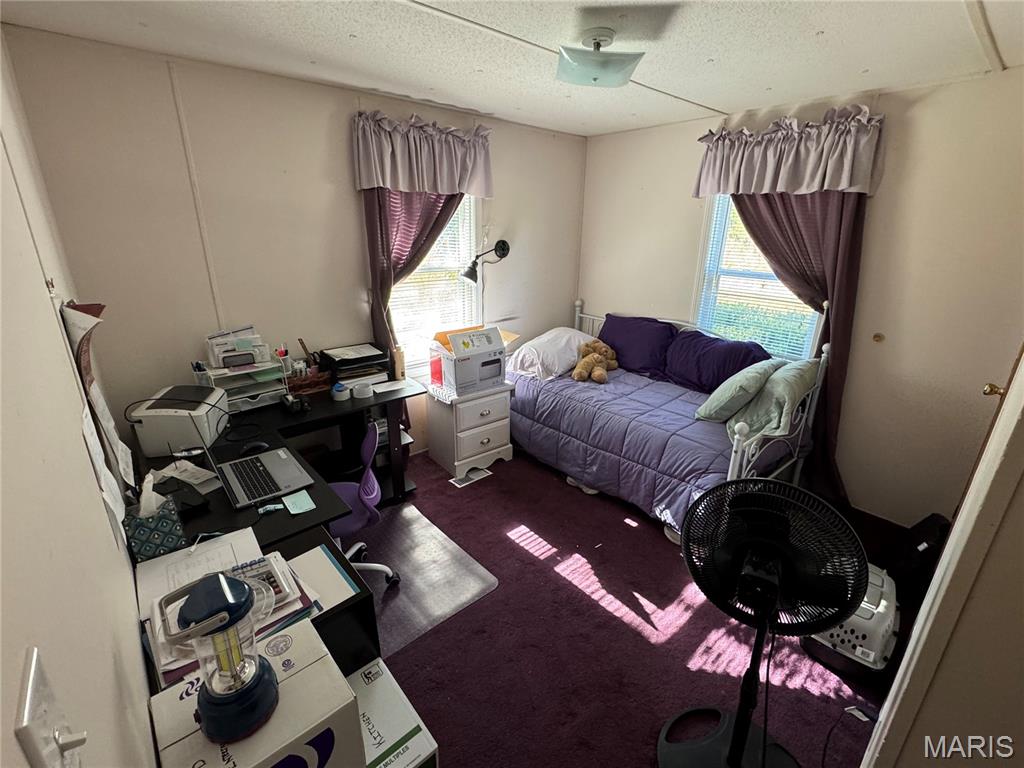 1818 Hunter Road Festus, MO 63028 - Photo 50 of 54