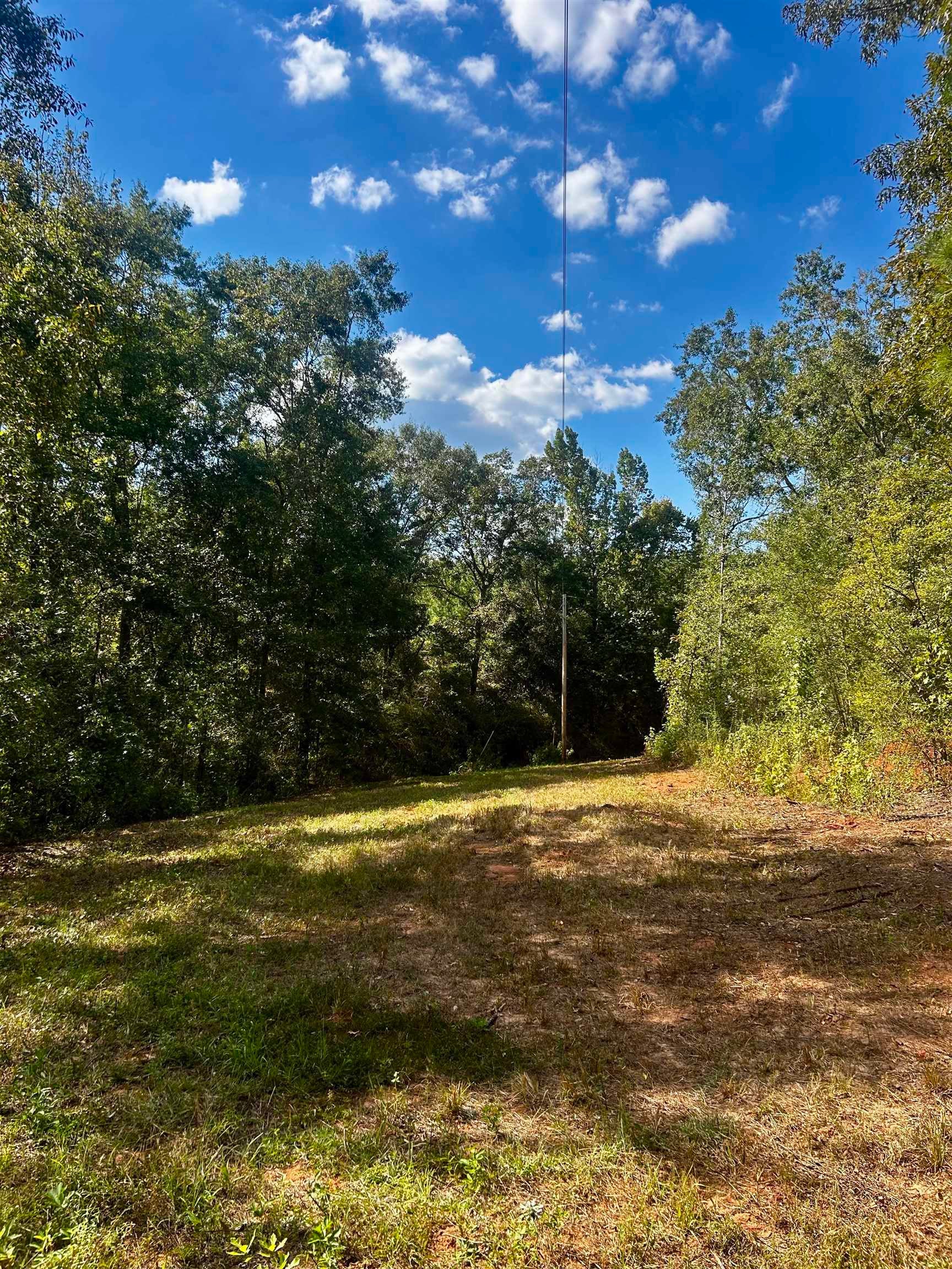 Swinson Road Red Level, AL 36474 - Photo 19 of 19 Gallery Image 19
