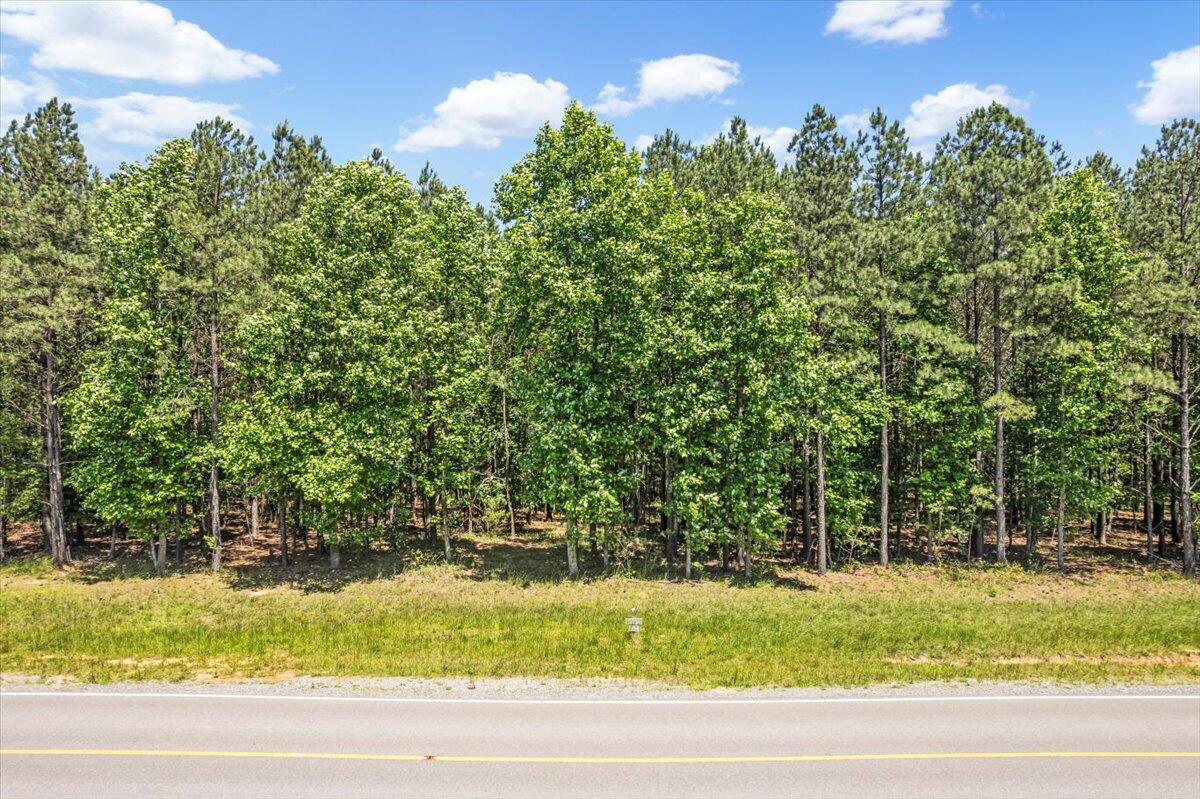 0 Crockett Pointe Point, Unit JF 138 Jasper, TN 37347 - Photo 2 of 12 03-DJI_0917