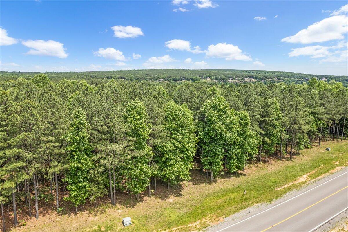 0 Crockett Pointe Point, Unit JF 138 Jasper, TN 37347 - Photo 3 of 12 04-DJI_0921