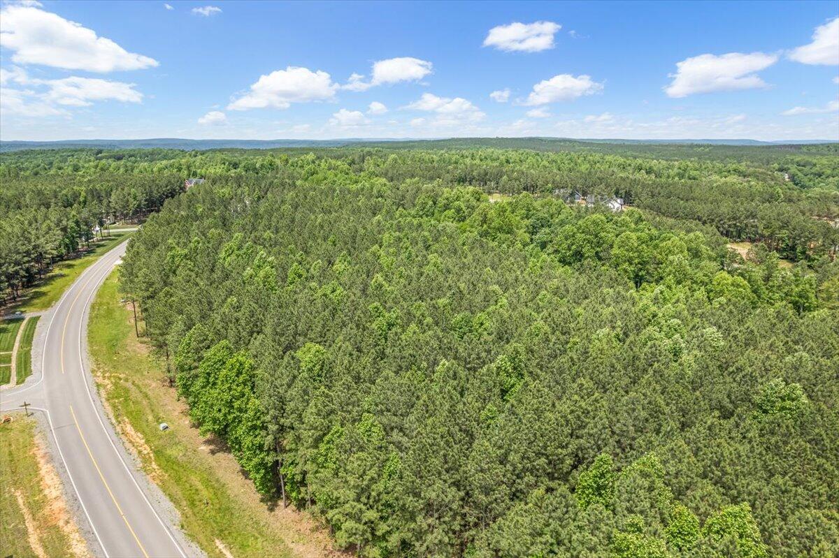 0 Crockett Pointe Point, Unit JF 138 Jasper, TN 37347 - Photo 4 of 12 05-DJI_0924