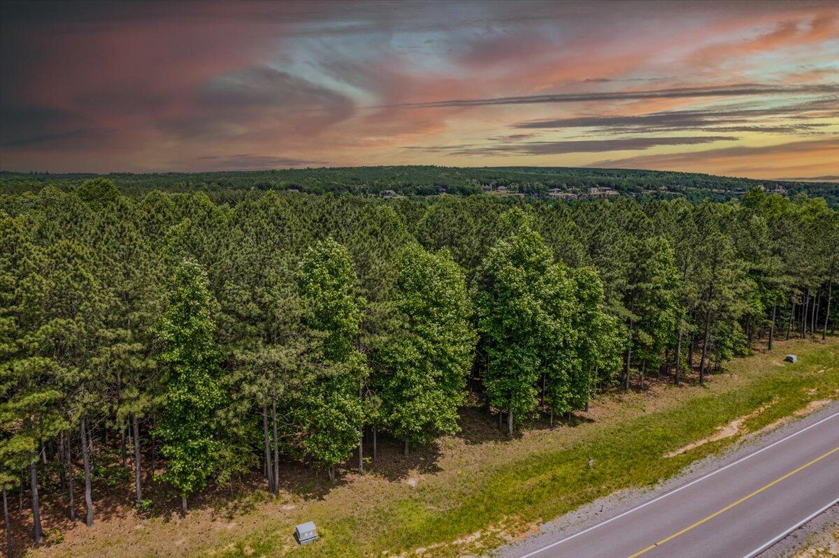 0 Crockett Pointe Point, Unit JF 138 Jasper, TN 37347 - Photo 6 of 12 01-DJI_0921 copy