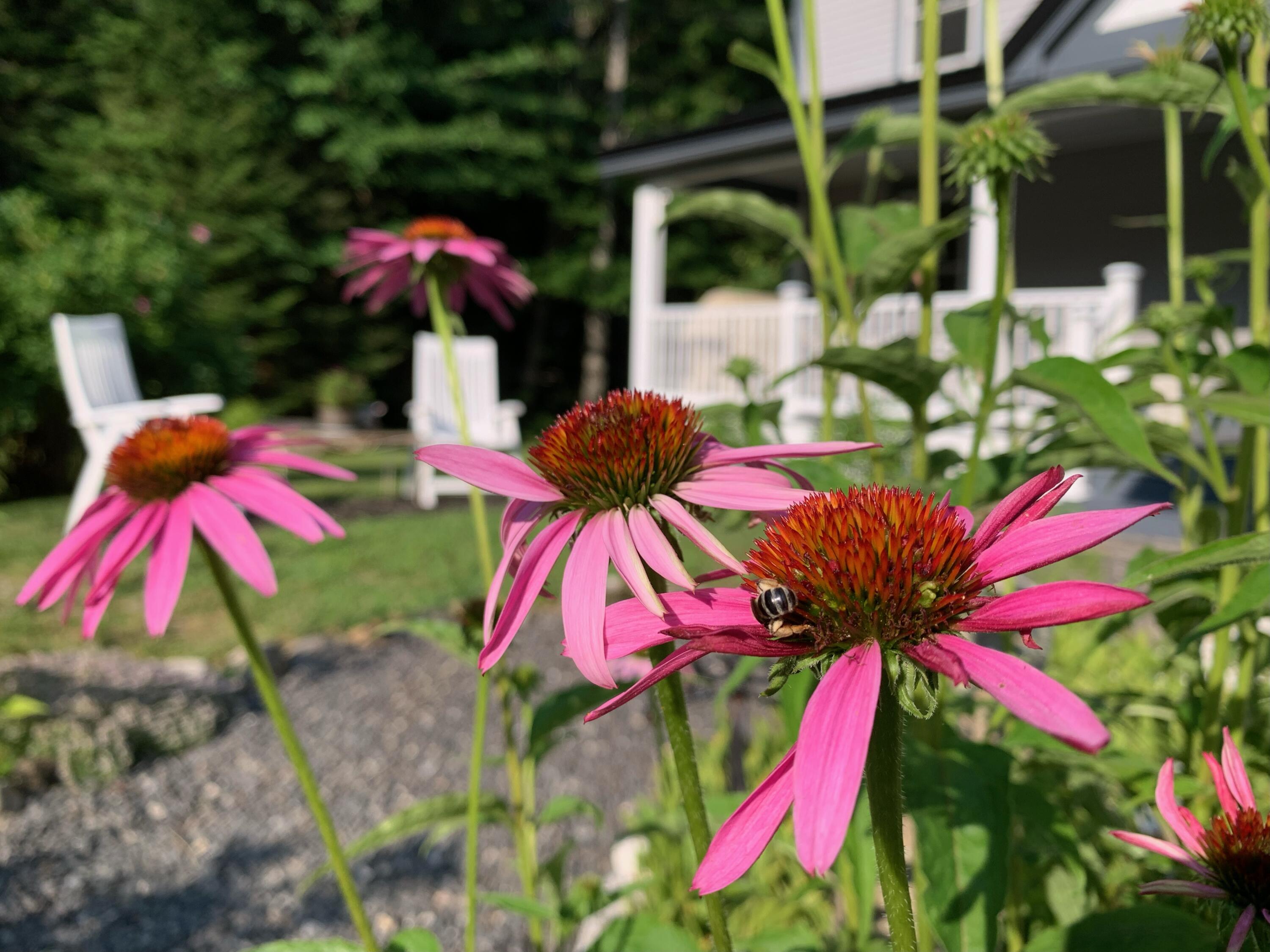 134 Ross Corner Road Shapleigh, ME 04076 - Photo 28 of 91 22