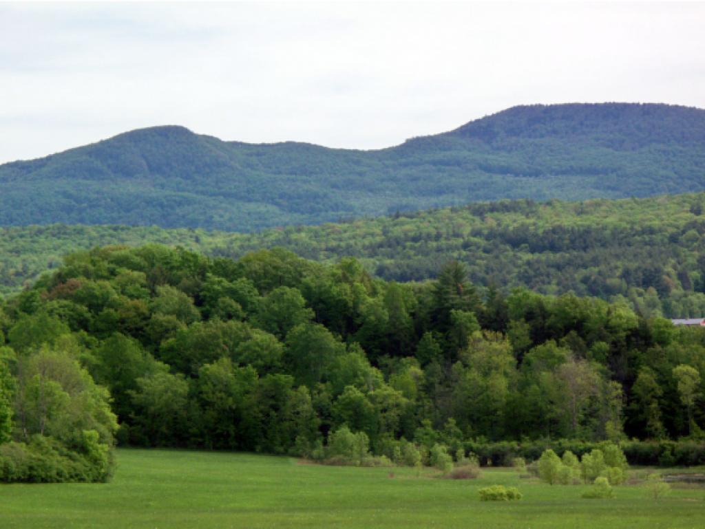 3876 West Creek Road Pittsford, VT 05733 - Photo 3 of 32