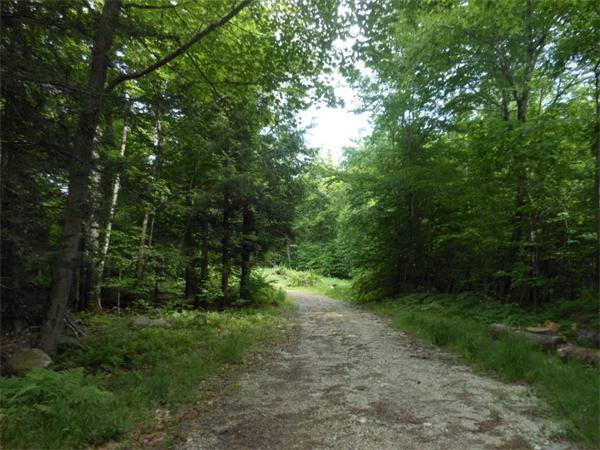 0 Barr Hill Road Huntington, MA 01050 - Photo 2 of 5 Gallery Image 2