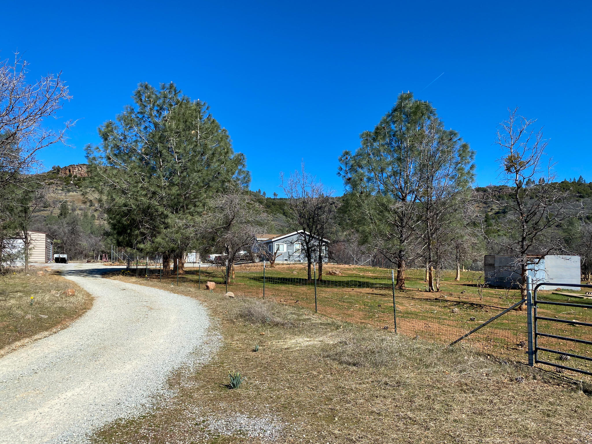 31668 Grindley Ranch Road Whitmore, CA 96096 - Photo 12 of 26 a view of a park with large trees