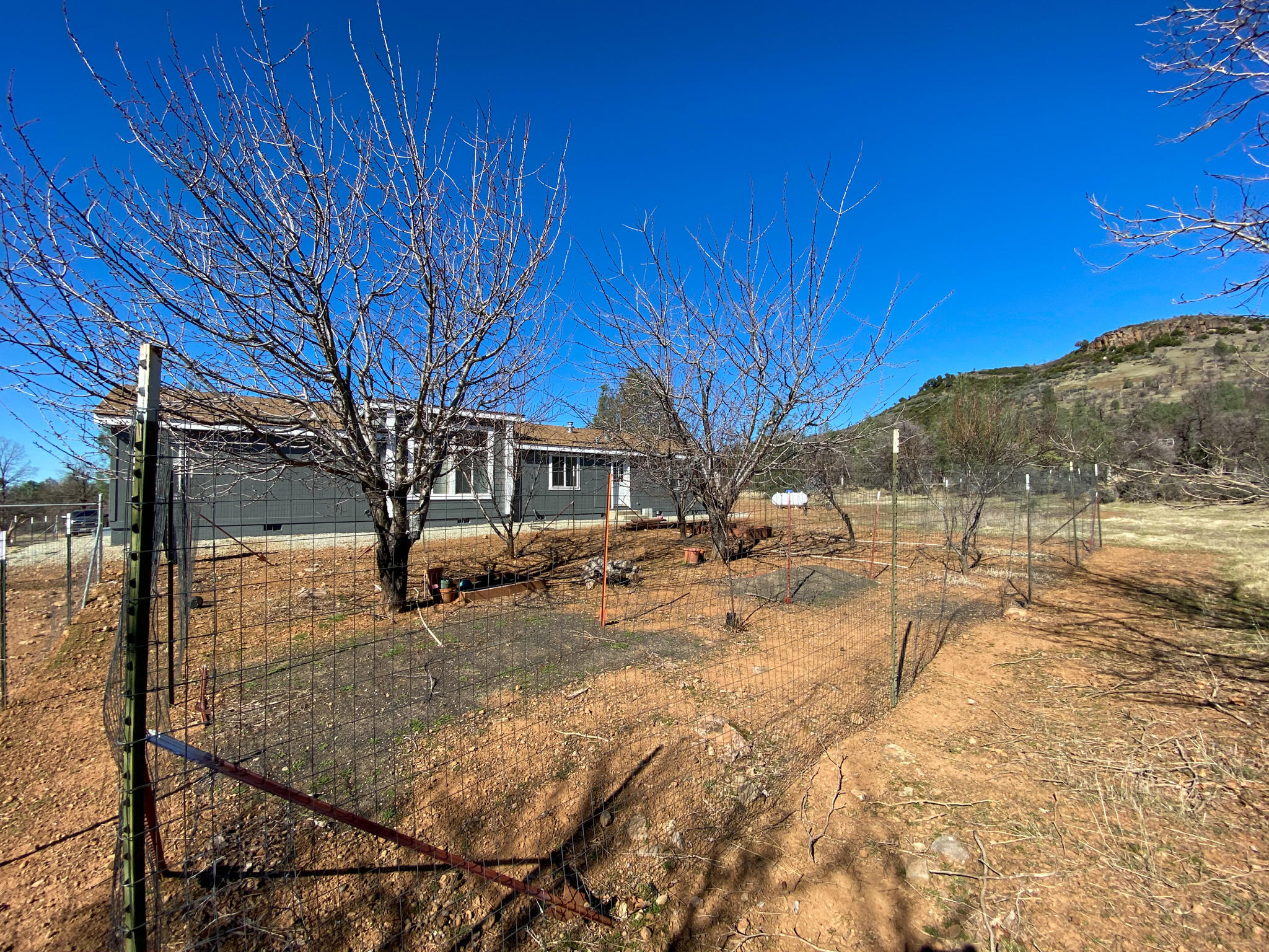 31668 Grindley Ranch Road Whitmore, CA 96096 - Photo 5 of 26 a view of a yard with wooden fence