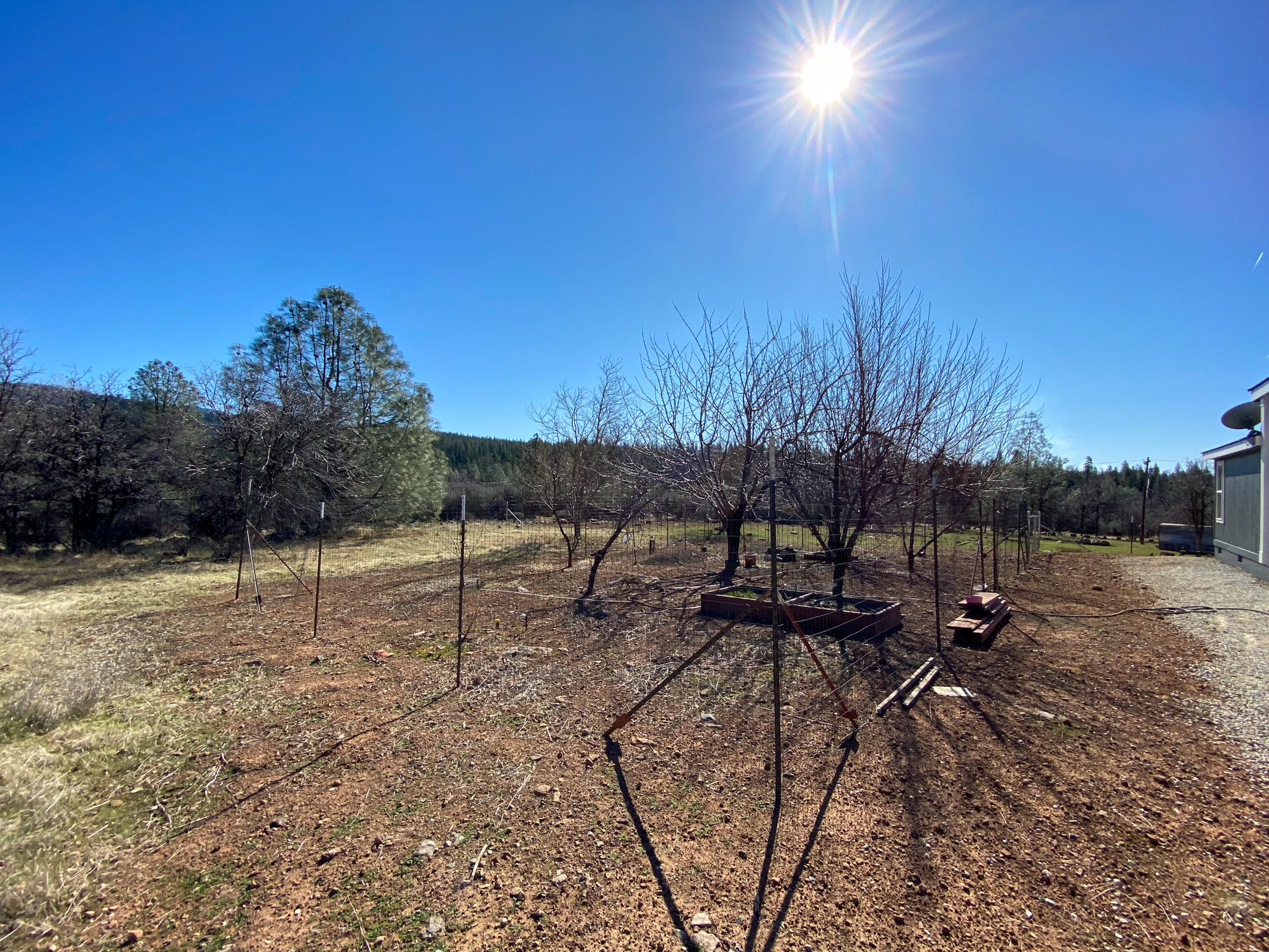 31668 Grindley Ranch Road Whitmore, CA 96096 - Photo 7 of 26 a backyard of a house with table and chairs