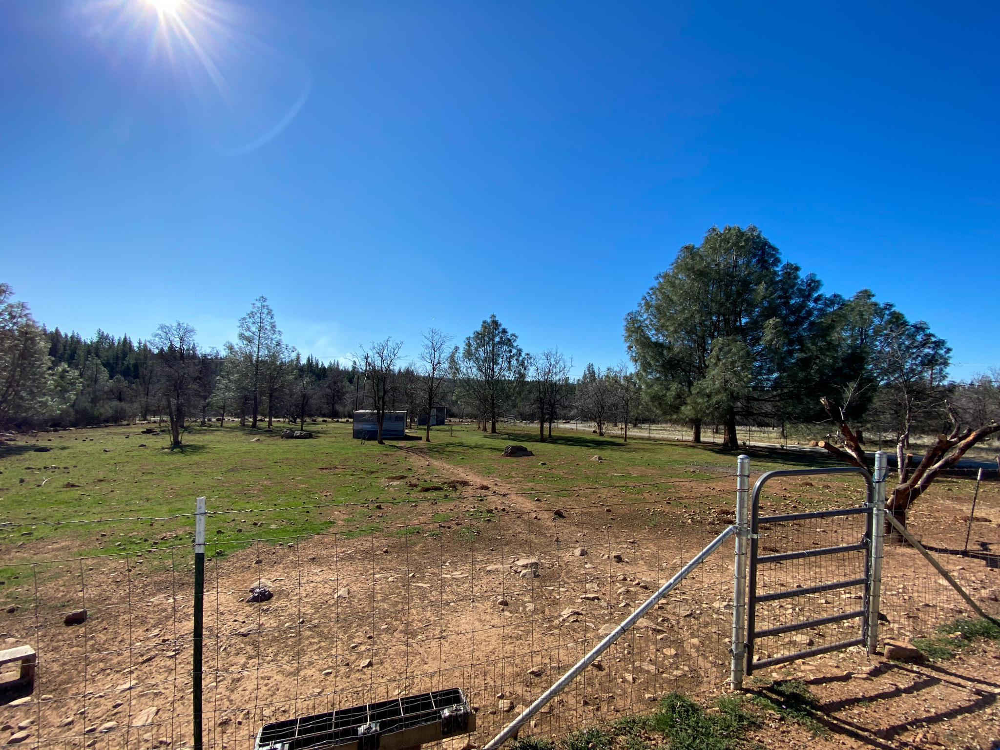 31668 Grindley Ranch Road Whitmore, CA 96096 - Photo 9 of 26 a view of a backyard