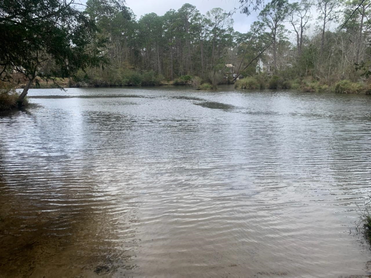 24851 Daw Road Elberta, AL 36530 - Photo 18 of 18