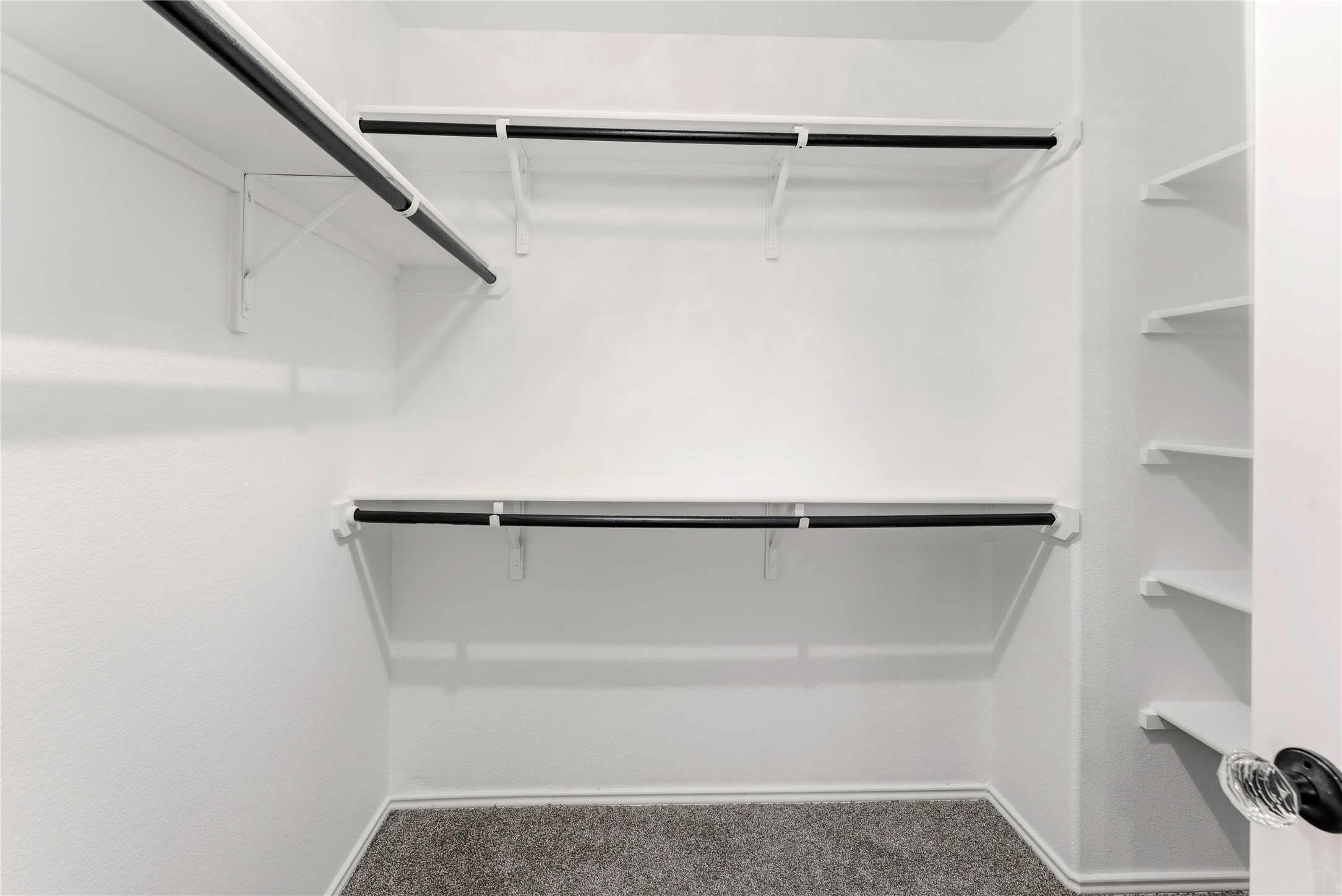 100 Serpentine Lane Jarrell, TX 76537 - Photo 30 of 40 a view of walk in closet with empty racks