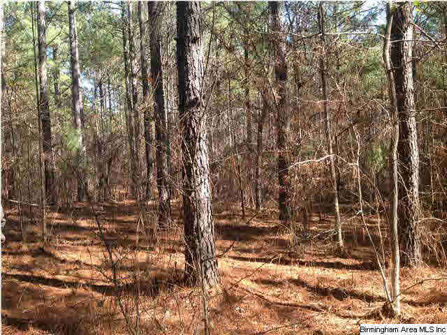 151 County Road, Unit 40 Jemison, AL 35085 - Photo 9 of 10