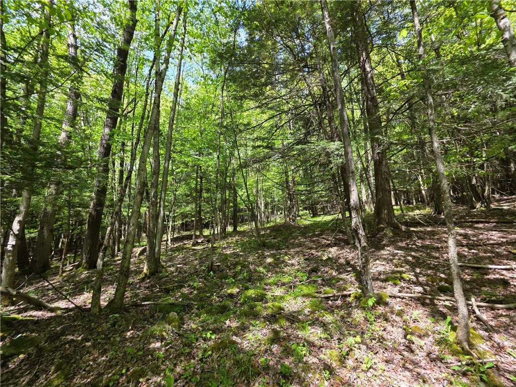 3040 Quigg Hollow Road Andover, NY 14806 - Photo 41 of 46