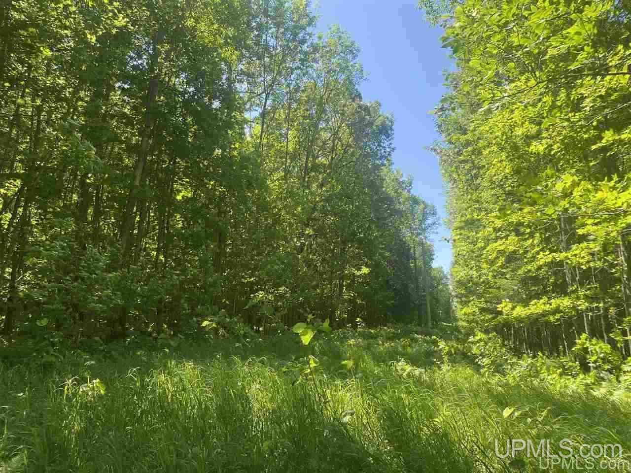 Tbd East Shore Road, Unit 1 Marenisco, MI 49947 - Photo 21 of 31 Gallery Image 21