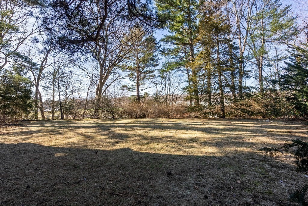 25 Francis Road Wellesley, MA 02482 - Photo 7 of 11 a view of a yard with large trees