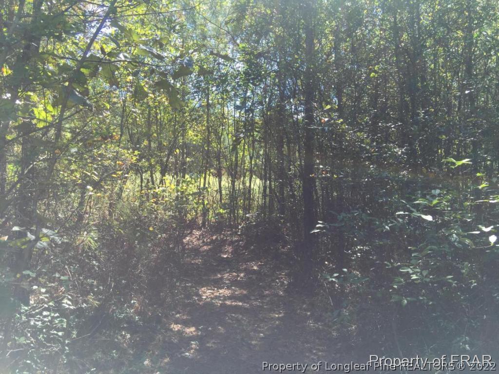 1346 Darroch Road Lillington, NC 27546 - Photo 26 of 27 Gallery Image 26