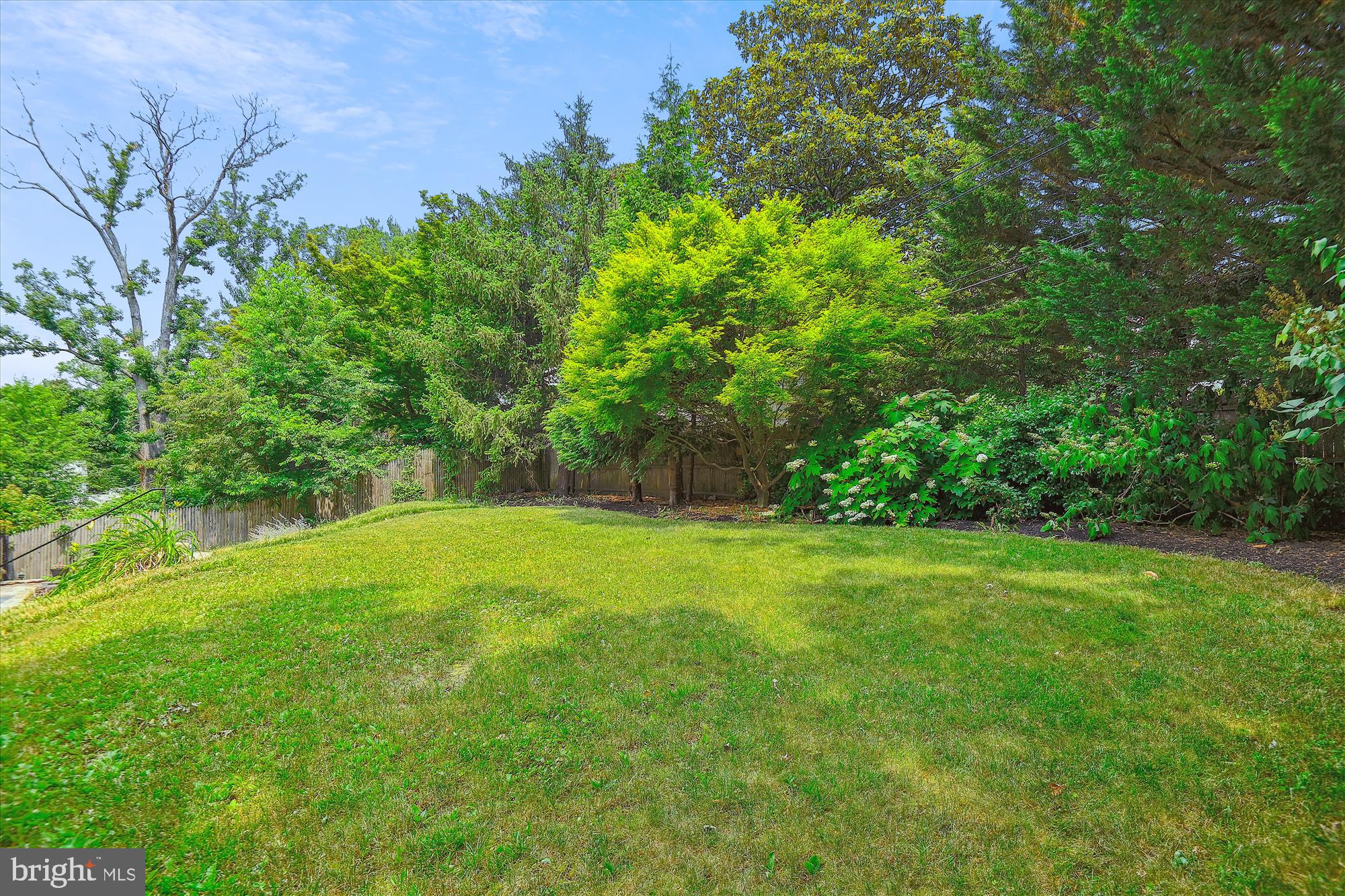 4309 Rugby Road Baltimore, MD 21210 - Photo 40 of 42