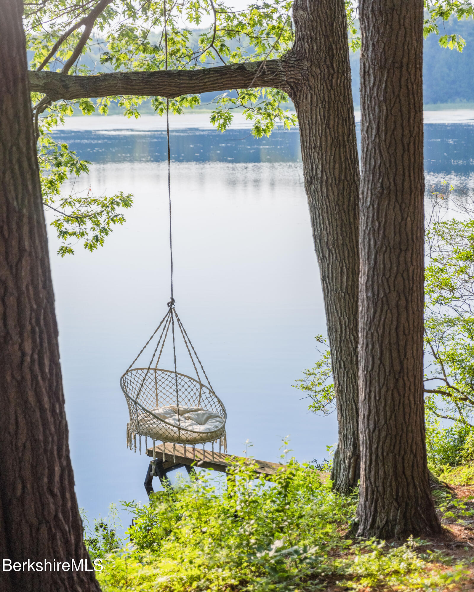 14 Sullivan Road Sandisfield, MA 01255 - Photo 43 of 54 a picture of a tree in the backyard with a chair