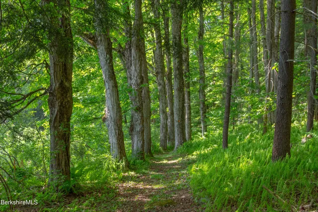 $3,500,000 | 14 Sullivan Road, Sandisfield, MA 01255