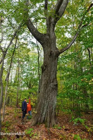 $3,500,000 | 14 Sullivan Road, Sandisfield, MA 01255