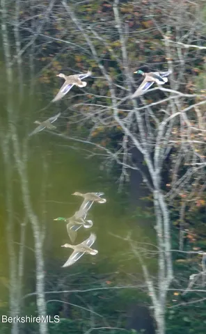 $3,500,000 | 14 Sullivan Road, Sandisfield, MA 01255