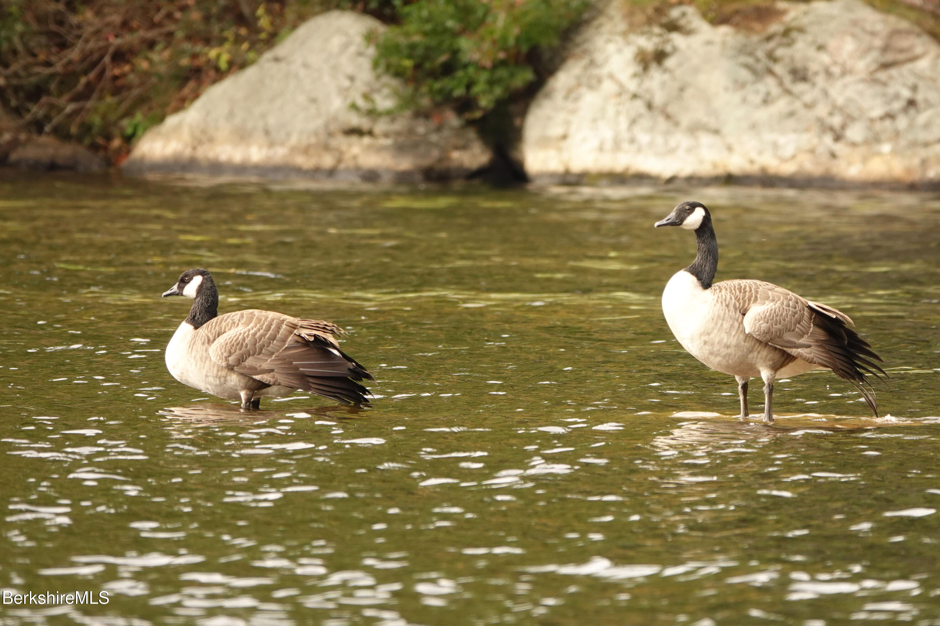 14 Sullivan Road Sandisfield, MA 01255 - Photo 52 of 54 a bathroom with a sink