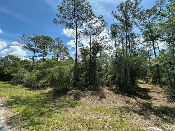 $26,500 | 12184 West Arborvitae Place, Crystal River, FL 34428