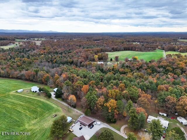 18.6-ac Cave Branch Road Allardt, TN 38504 - Photo 22 of 23 org_089de6834eedc376_1762022962000