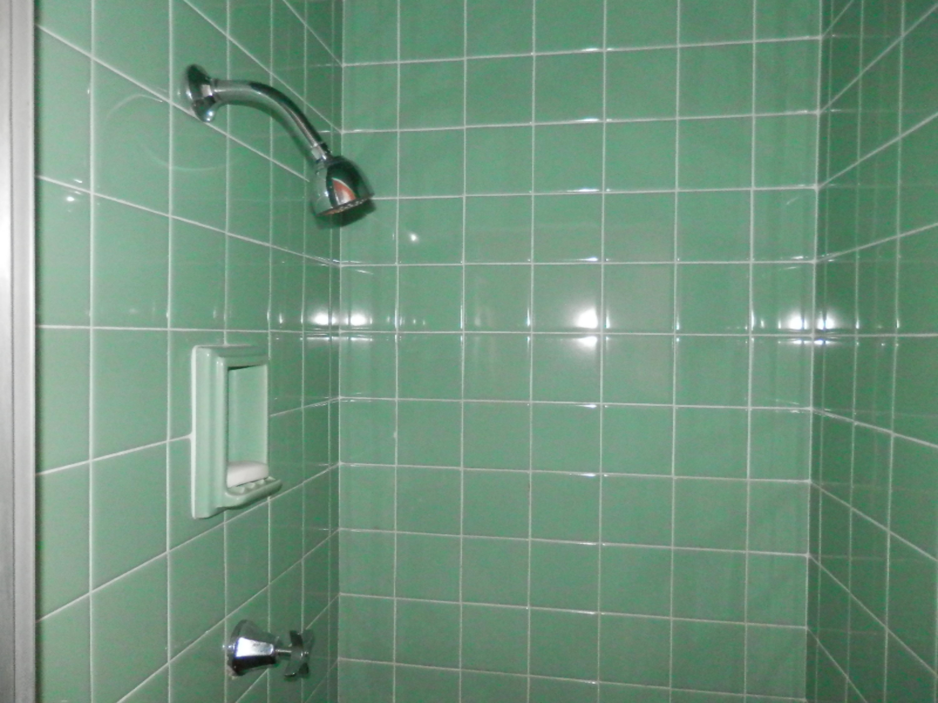 68079 Edgewater Beach Road White Pigeon, MI 49099 - Photo 14 of 29 Master Bath