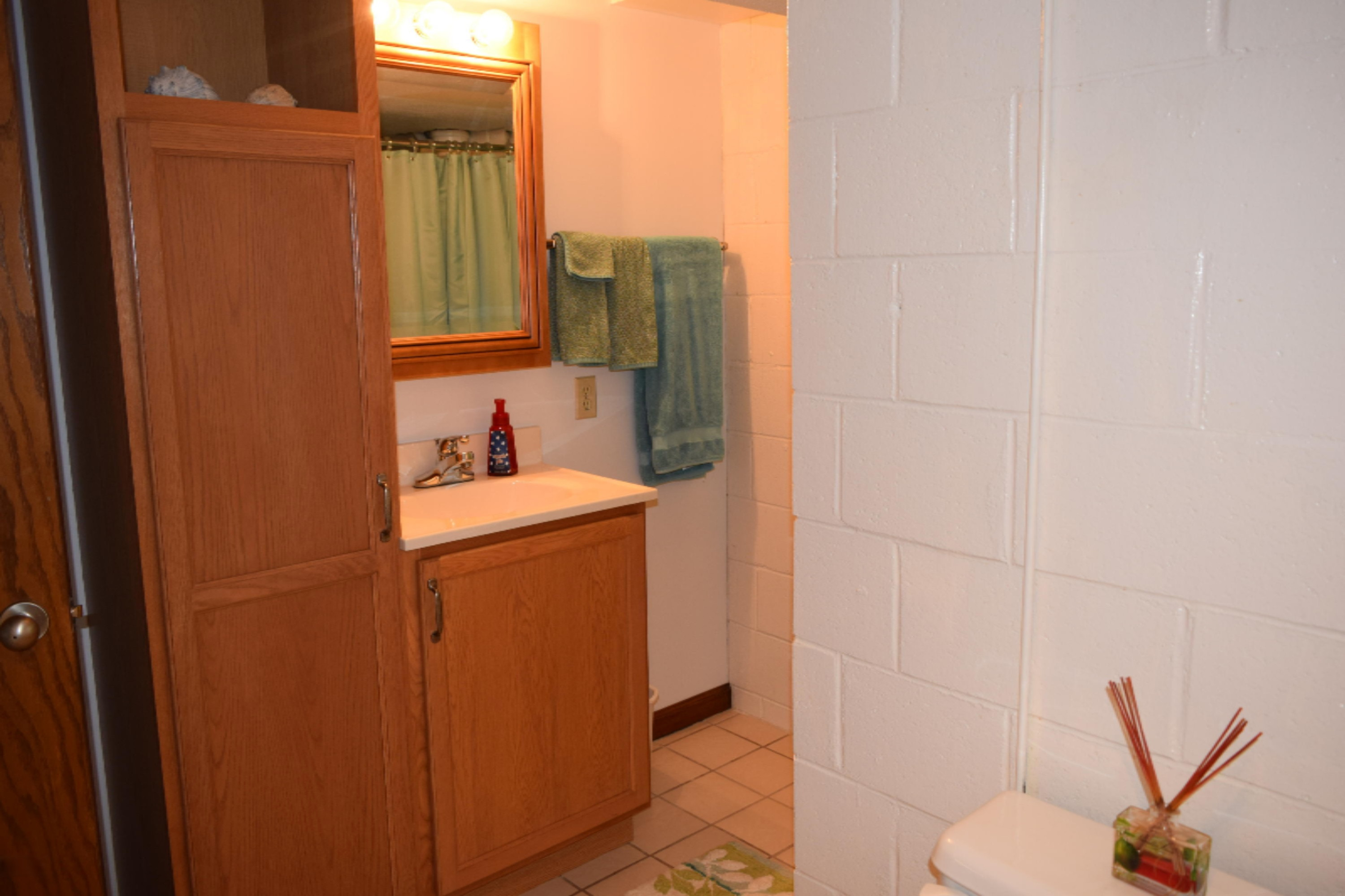 68079 Edgewater Beach Road White Pigeon, MI 49099 - Photo 22 of 29 Lower Level Bath