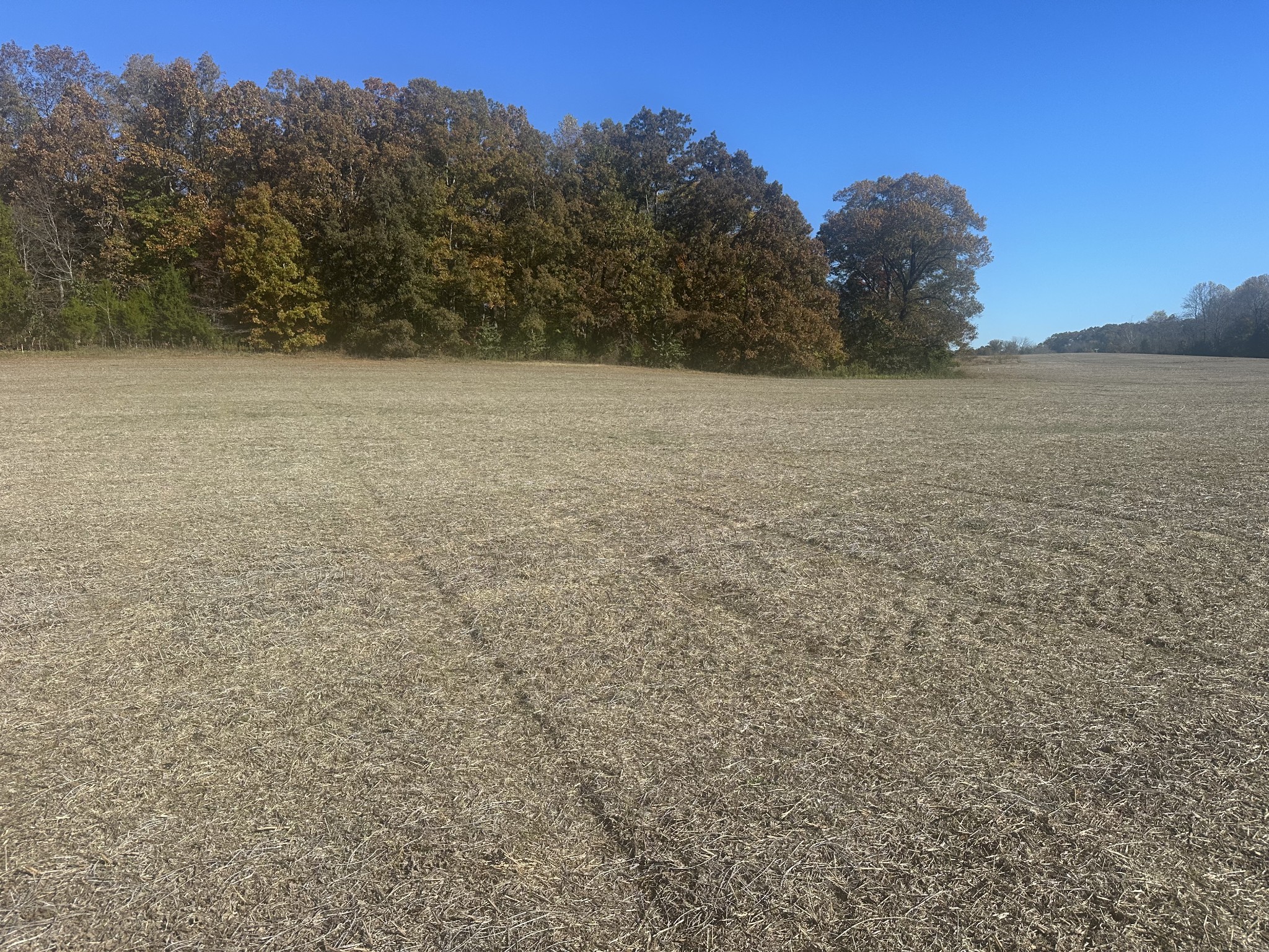 0 Petty Road Sparta, TN 38583 - Photo 4 of 9 a view of basketball court