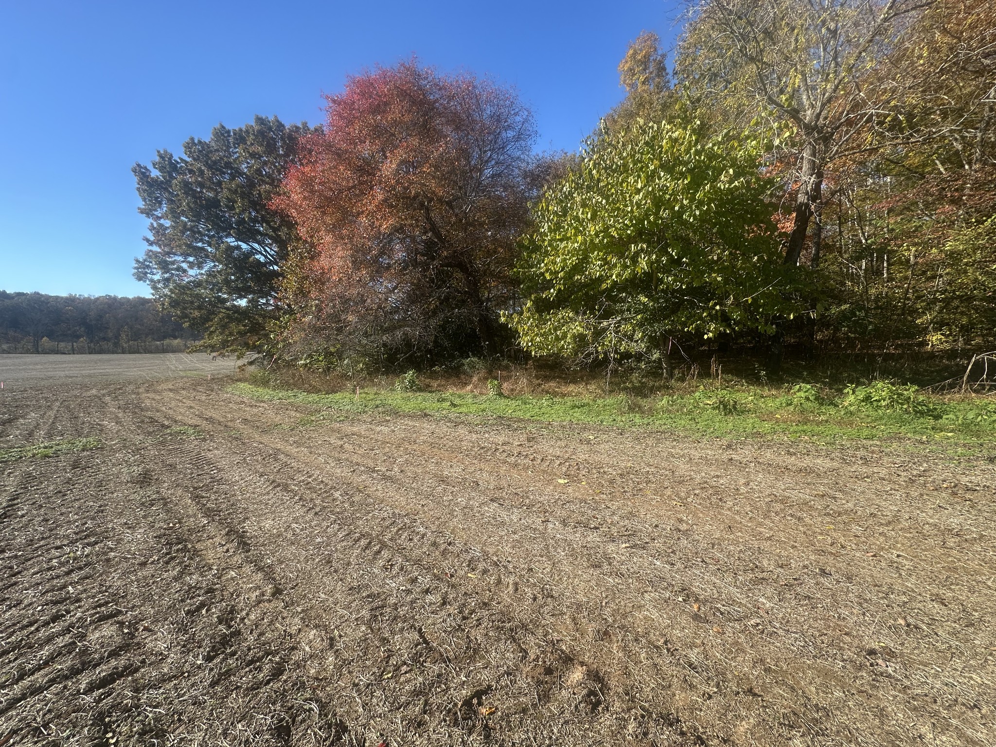 0 Petty Road Sparta, TN 38583 - Photo 6 of 9 a view of outdoor space and yard