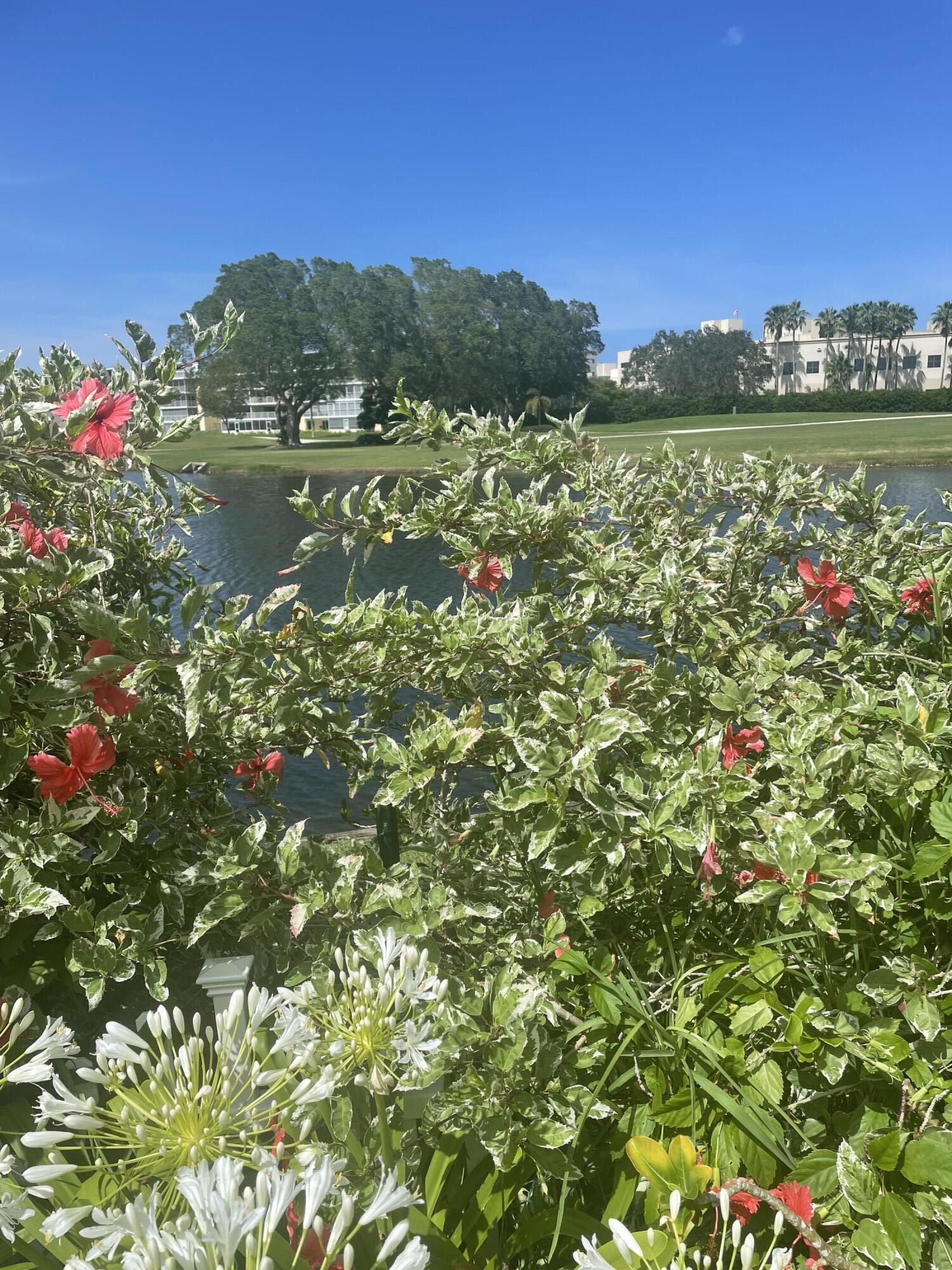 233 Rio Vista Circle Atlantis, FL 33462 - Photo 29 of 38 a view of lake with green space