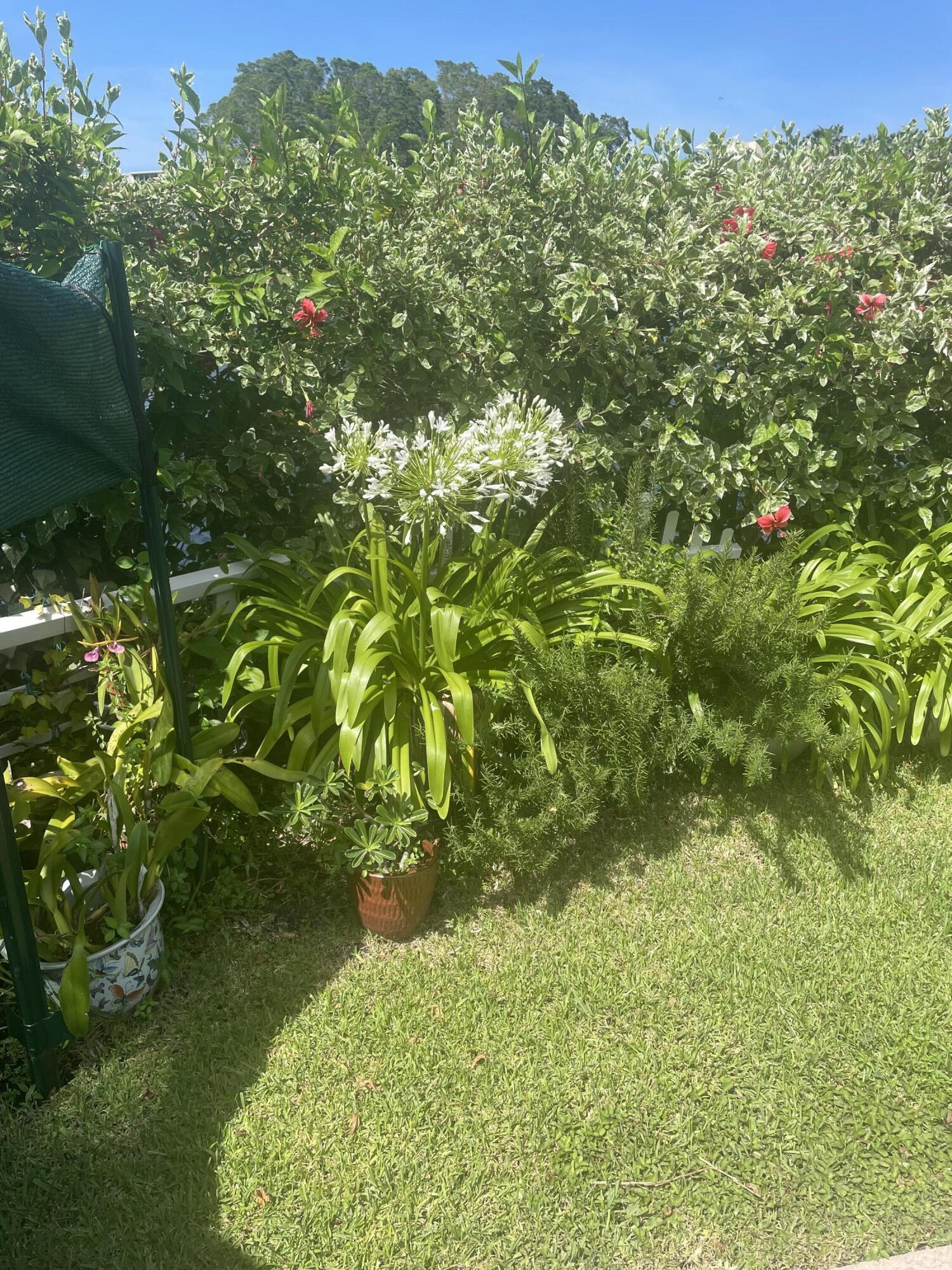 233 Rio Vista Circle Atlantis, FL 33462 - Photo 30 of 38 a view of a big yard