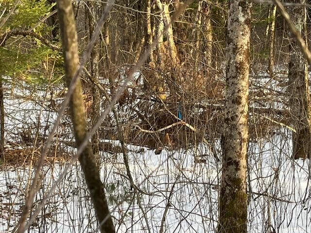 1-2 Eden Farm Road Freeport, ME 04032 - Photo 5 of 6 EF pic 6