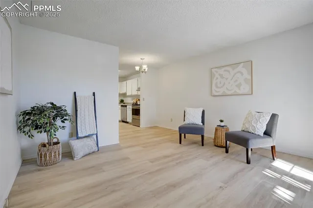 a living room with furniture and potted plant