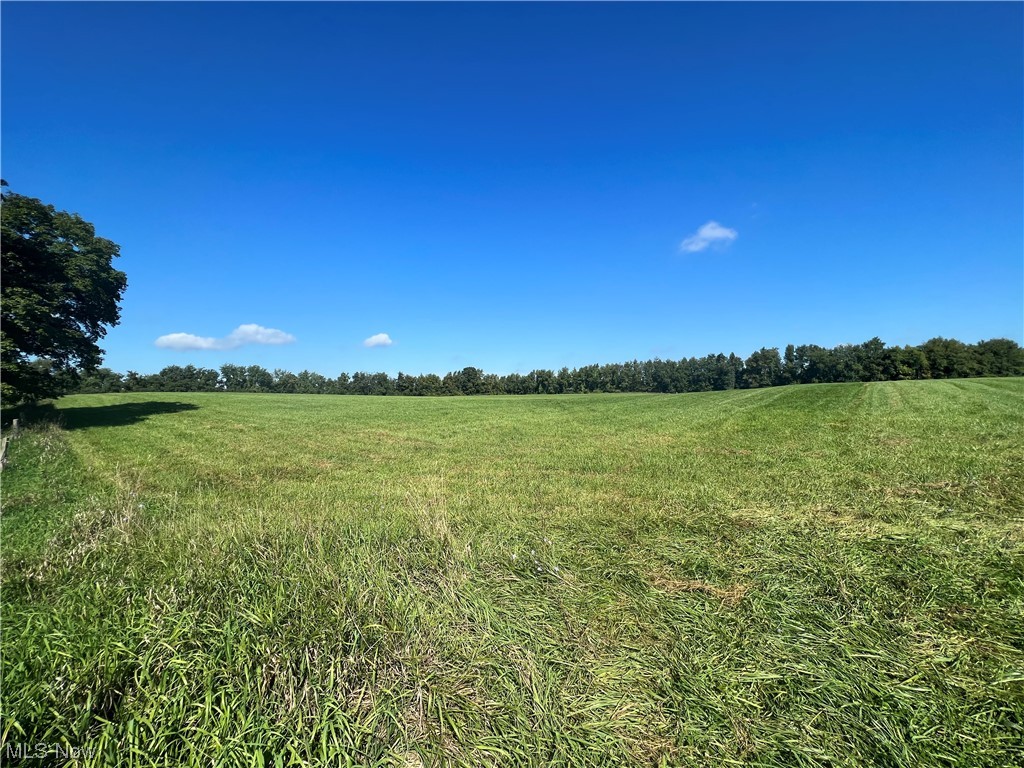 Raymond Road Salesville, OH 43778 - Photo 10 of 10 View of local wilderness