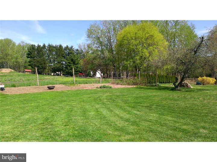 881 East Sandy Ridge Road Doylestown, PA 18901 - Photo 24 of 25 Back Yard