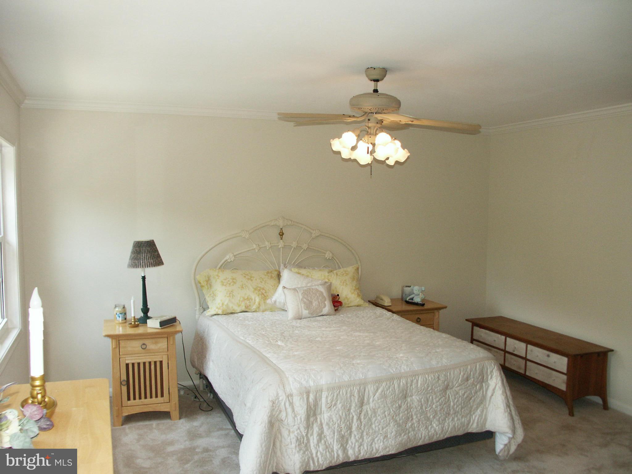 9016 Fox Grape Lane Springfield, VA 22152 - Photo 13 of 30 Bedroom (Master)
