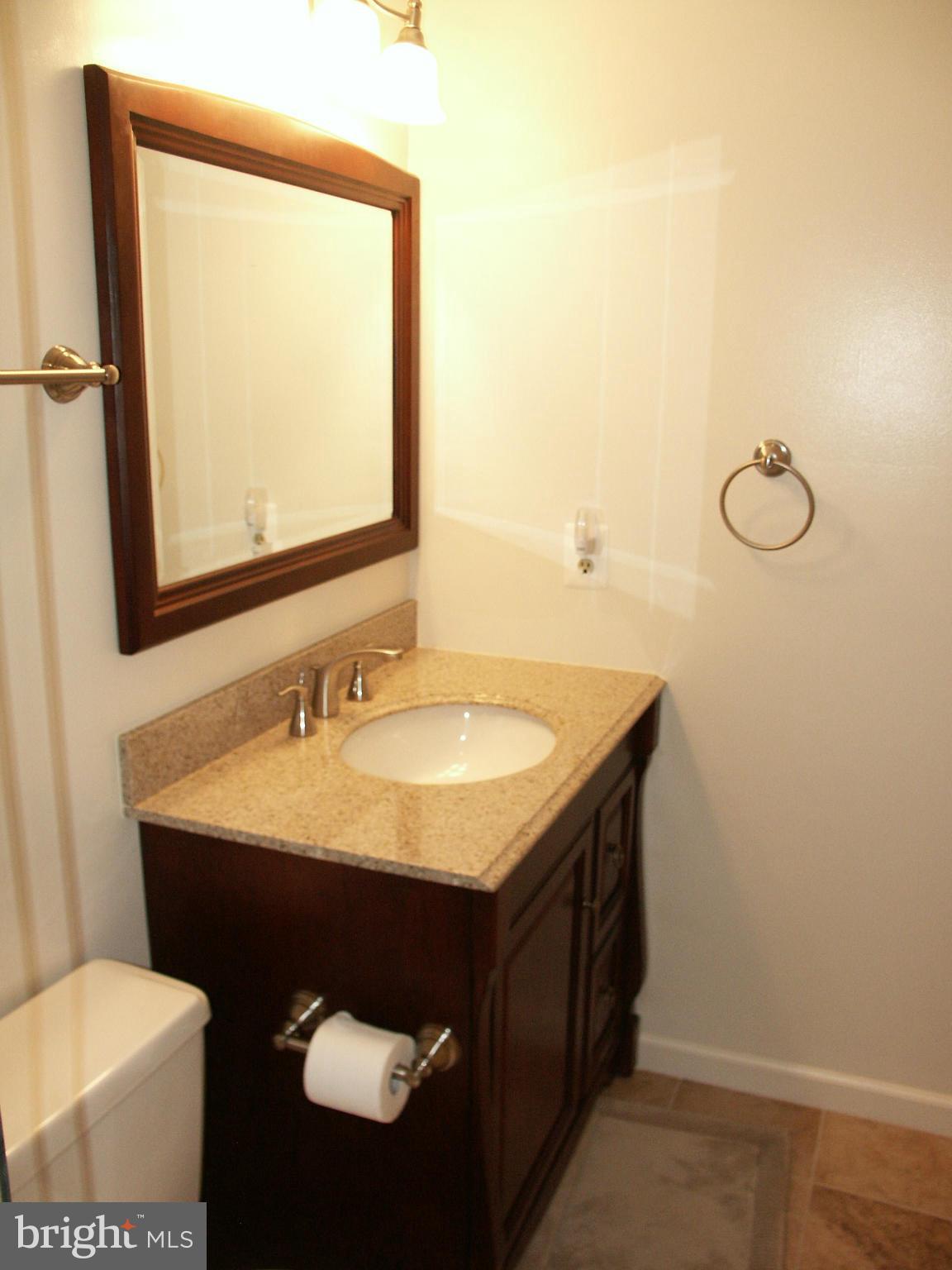 9016 Fox Grape Lane Springfield, VA 22152 - Photo 17 of 30 Bath (Master)