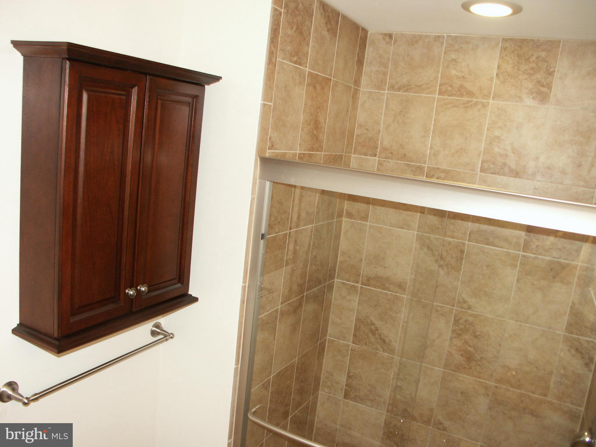 9016 Fox Grape Lane Springfield, VA 22152 - Photo 19 of 30 Bath (Master)