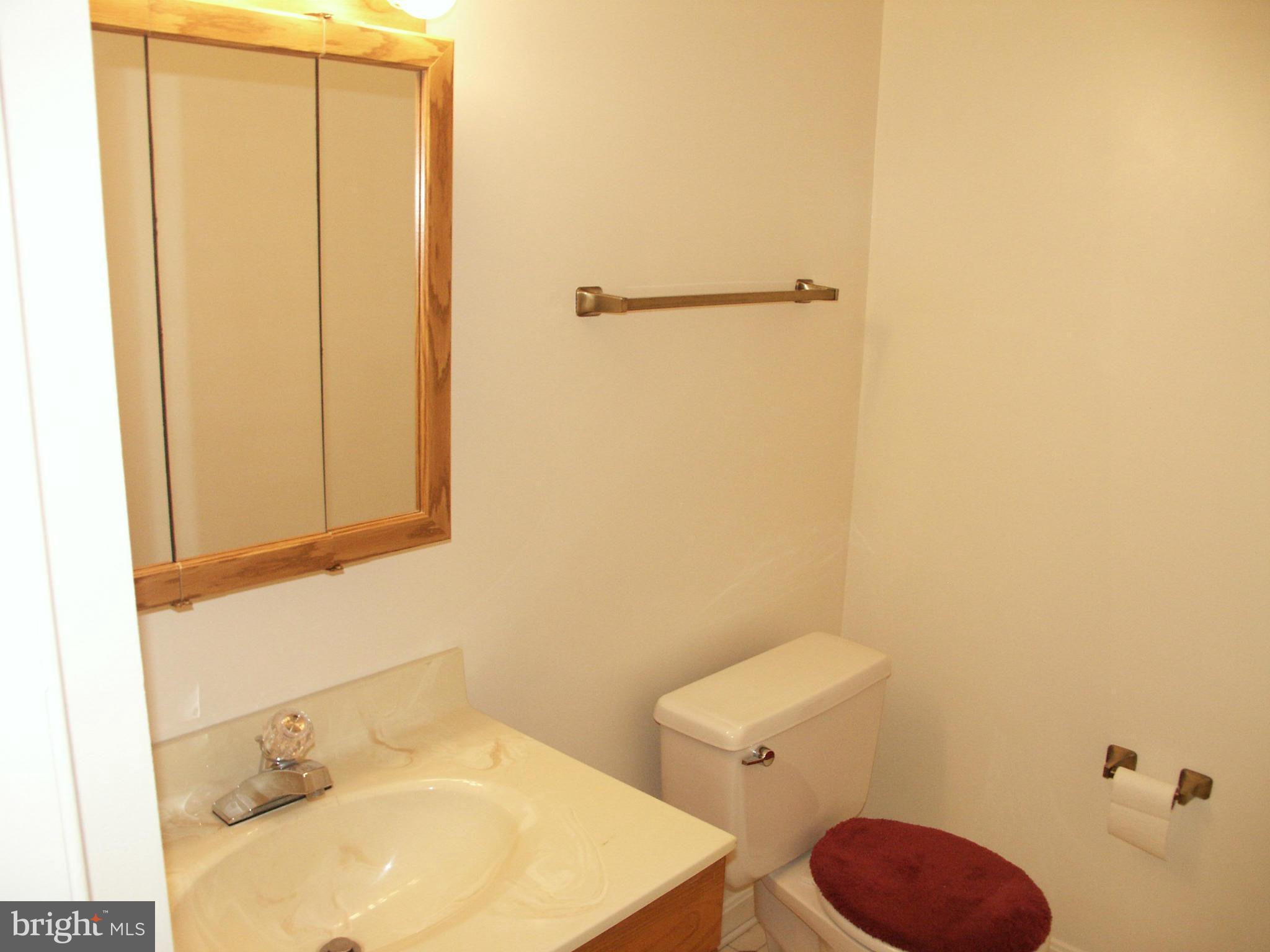 9016 Fox Grape Lane Springfield, VA 22152 - Photo 29 of 30 Family Room