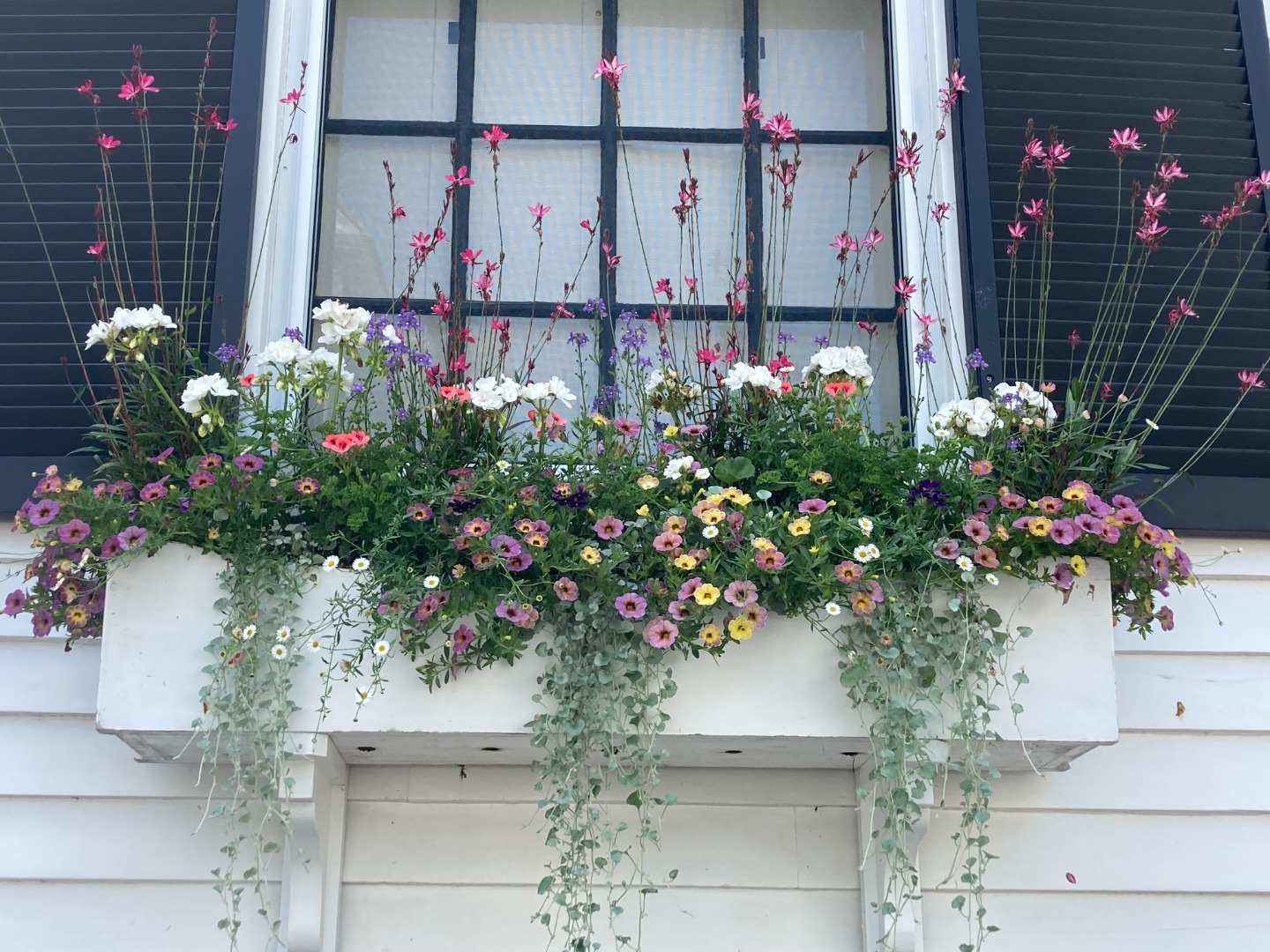 19 Orange Street Nantucket, MA 02554 - Photo 73 of 85