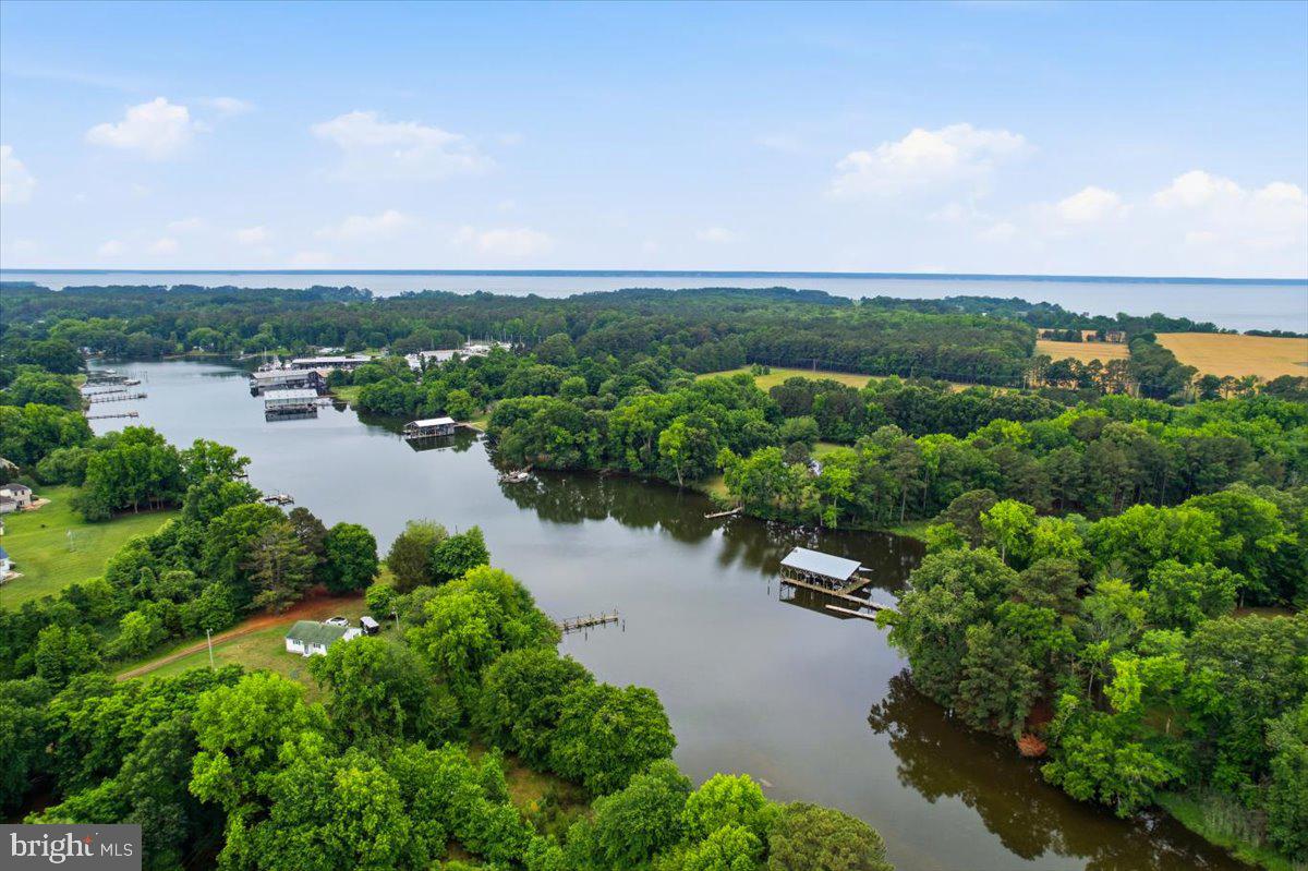 38125 Louis Thomas Road Avenue, MD 20609 - Photo 70 of 73 ST PATRICKS BODY OF WATER TO THE POTOMAC